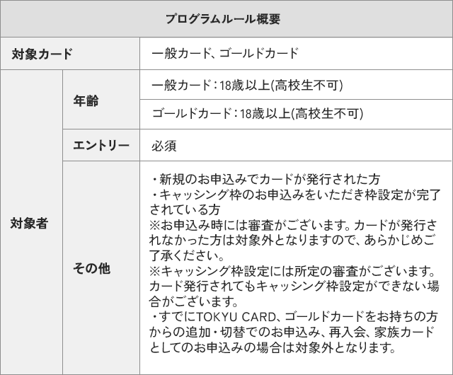 プログラムルール概要.png